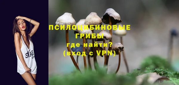 PSILOCYBIN Волоколамск